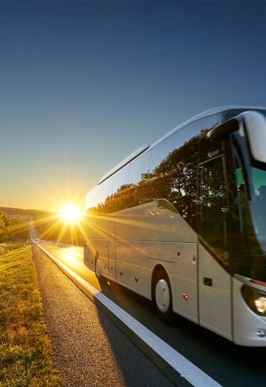 Связаться с Martini Bus